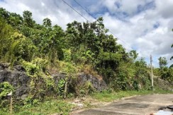 Lot in South Hills Subdivision Cebu City