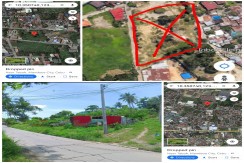 Lot for Sale in Brgy Tabok Mandaue City