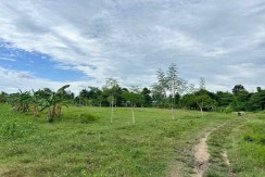 Lot For Sale in Perrelos, Carcar Cebu