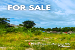 Lot For Sale in Casuntingan, Mandaue - 26,319