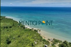Mentingipoint: Daanbantayanโs Hidden Gem by the Seaview